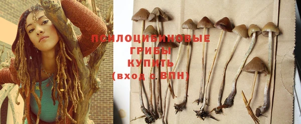 spice Лиски