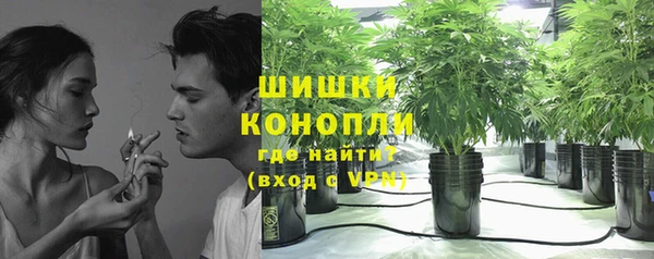 spice Лиски