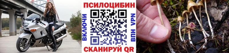 Галлюциногенные грибы прущие грибы  Купить где  Хвалынск 